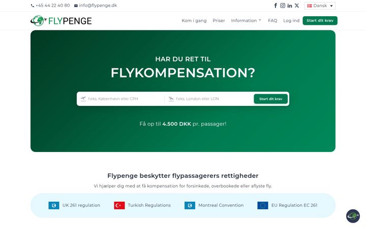 Screenshot of flypenge.dk