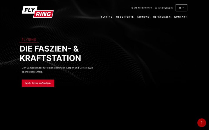 Screenshot of flyring.de