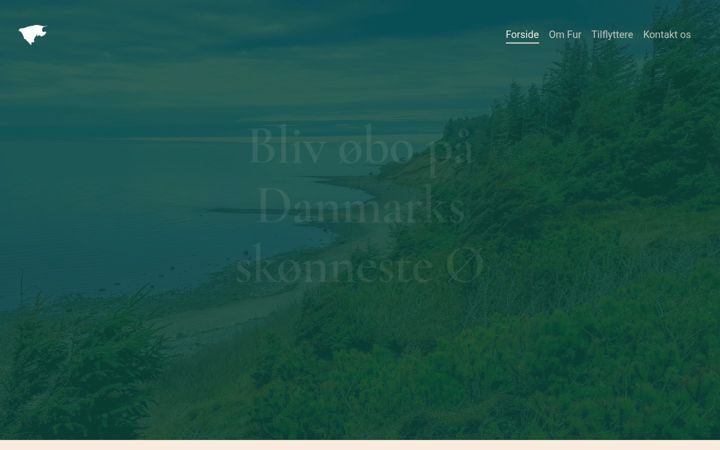 Screenshot of flyttilfur.dk