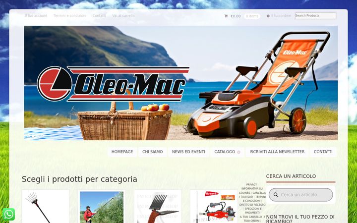 Screenshot of fmricambishop.com
