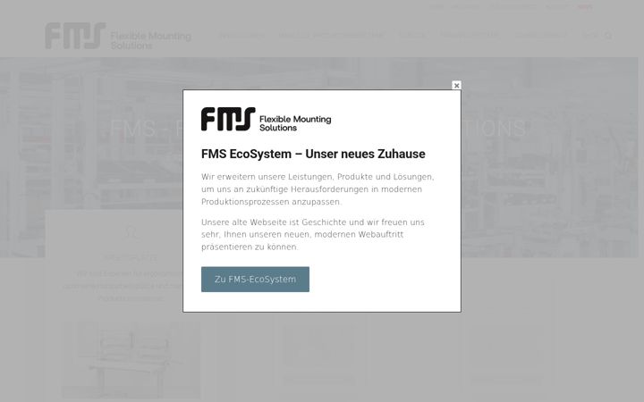 Screenshot of fms-montagetechnik.de