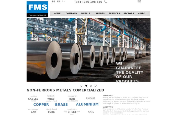 Screenshot of fms.pt
