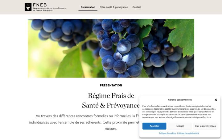 Screenshot of fnebps.fr