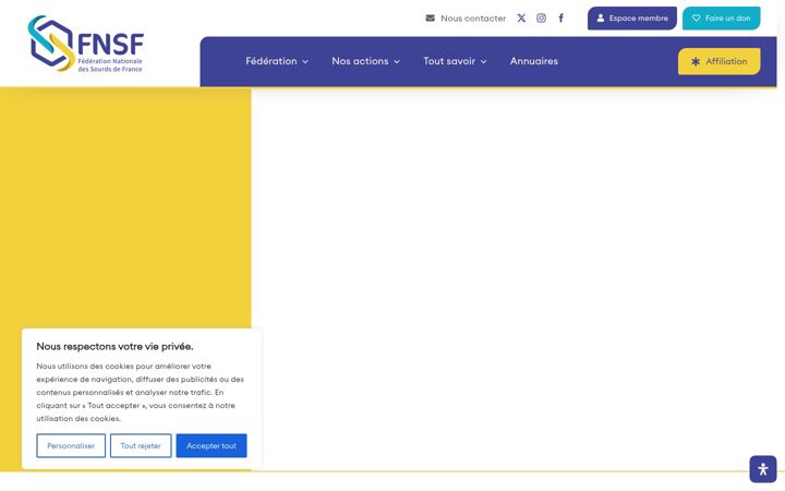 Screenshot of fnsf.org