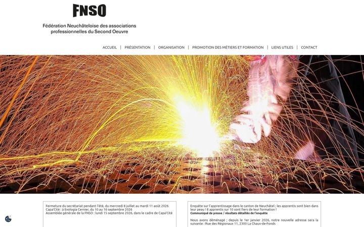 Screenshot of fnso.ch