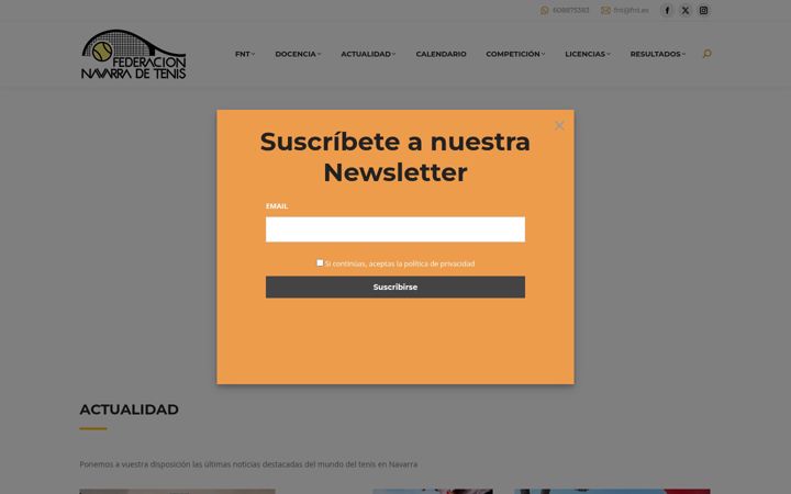 Screenshot of fnt.es