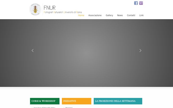 Screenshot of fnur.it