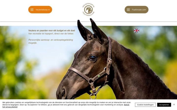 Screenshot of foalforsale.com
