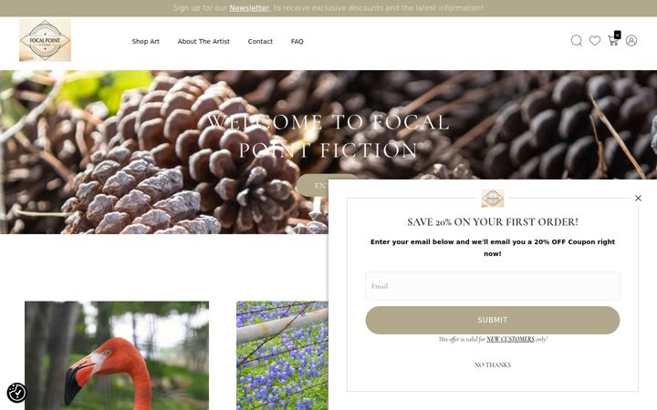 Screenshot of focalpointfiction.com