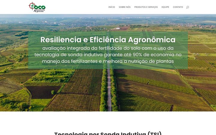 Screenshot of focotga.com.br