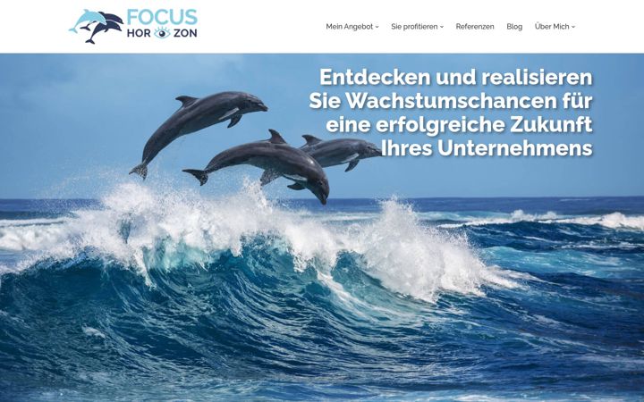 Screenshot of focus-horizon.com