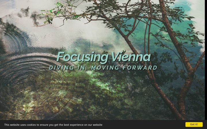 Screenshot of focusing-vienna.com