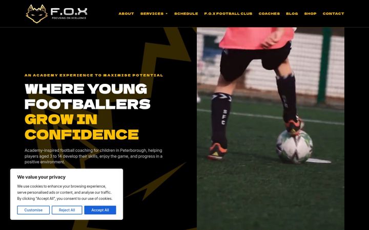 Skærmbillede af focusingonxcellence.co.uk