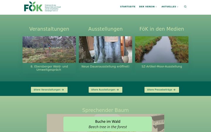 Screenshot of foek-ebe.de