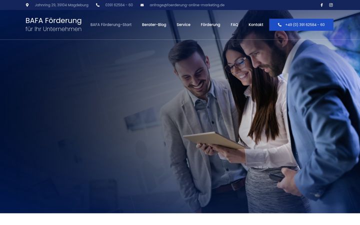 Screenshot ta' foerderung-online-marketing.de