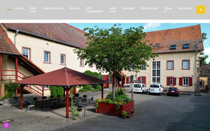Screenshot of foerderverein-frankenthal.de