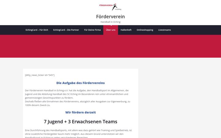 Screenshot ta' foerderverein-handball-eching.de