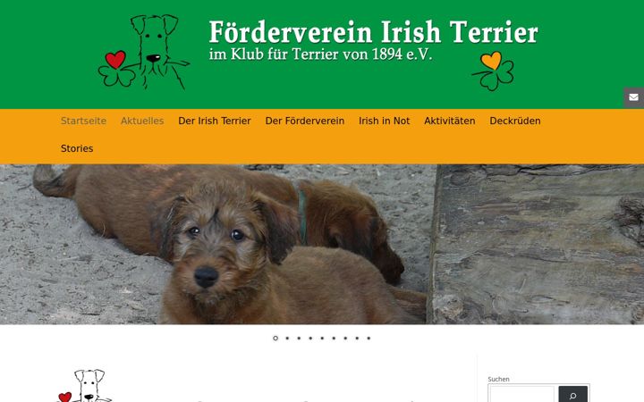 Screenshot of foerderverein-irish-terrier.de