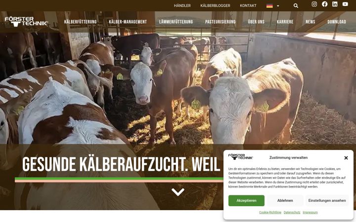 Screenshot ta' foerster-technik.de