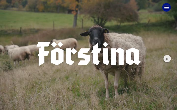 Screenshot of foerstina.de