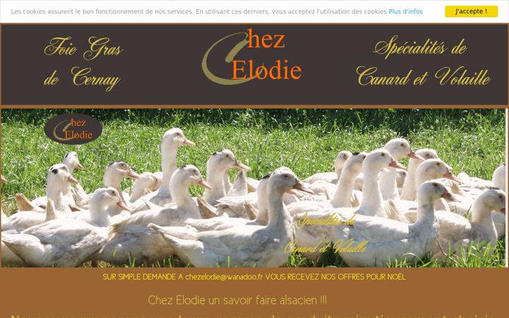 Screenshot of foiegras-chezelodie.com