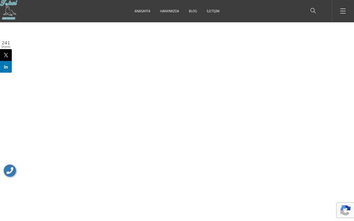 Screenshot of fokaibalikrestaurant.com