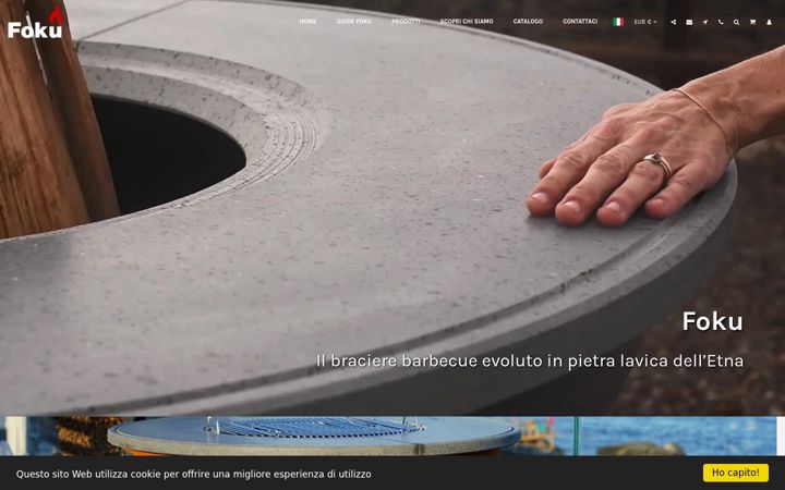 Screenshot of foku.it