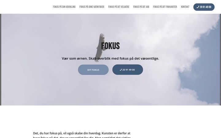 Screenshot of fokus.dk