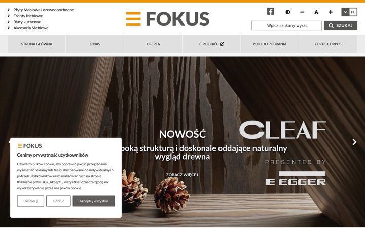 Screenshot of fokusplyty.pl