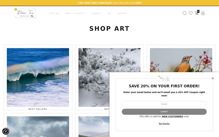 Screenshot of followtina.com