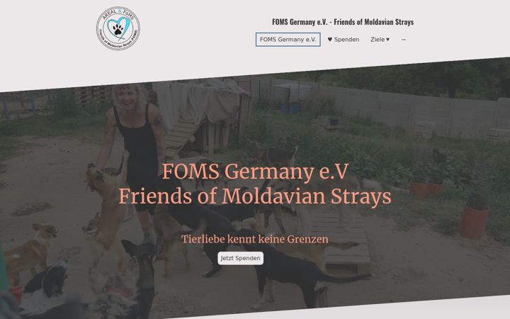 Screenshot of foms-germany.org