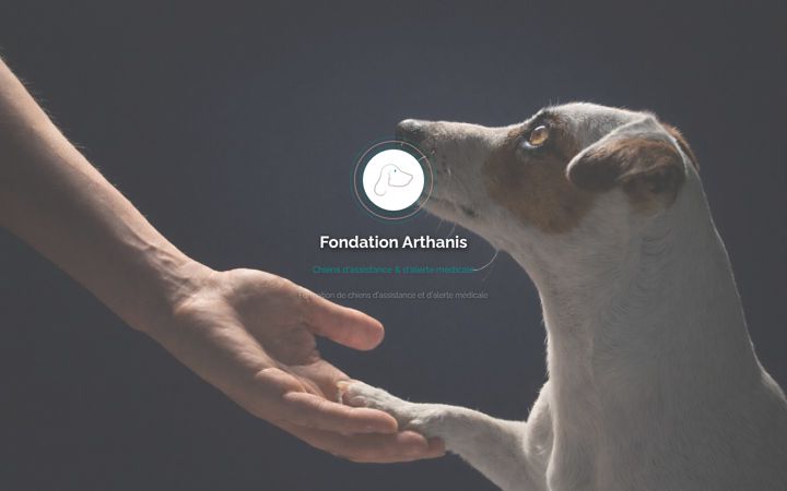 Screenshot of fondation-arthanis.org