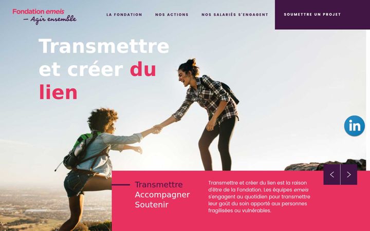 Screenshot of fondation-emeis.com