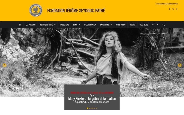 Screenshot of fondation-jeromeseydoux-pathe.com