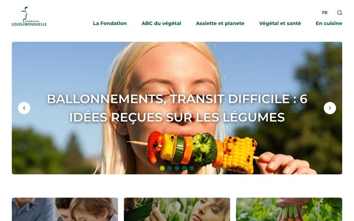 Screenshot of fondation-louisbonduelle.org