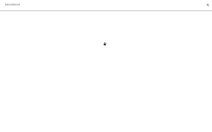 Screenshot of fondationazzedinealaia.org