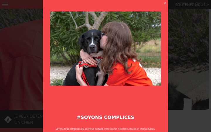 Screenshot of fondationfg.org