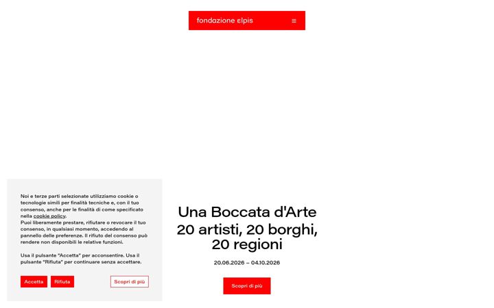 Screenshot of fondazioneelpis.it