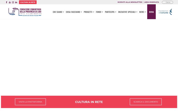 Screenshot of fondazionelodi.org