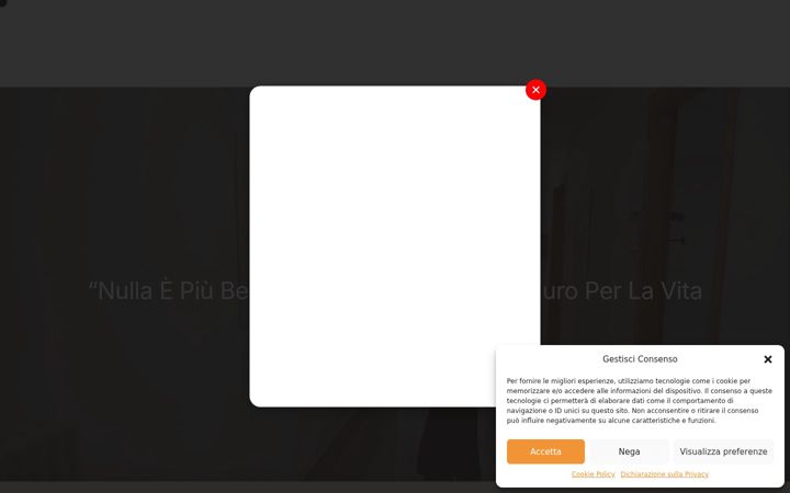 Screenshot di fondazioneromagnasolidale.it