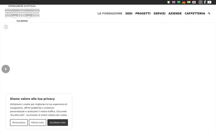 Screenshot di fondazionesantelia.it
