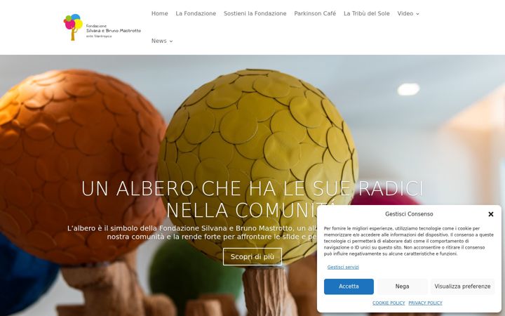 Screenshot di fondazionesilvanaebruno.it