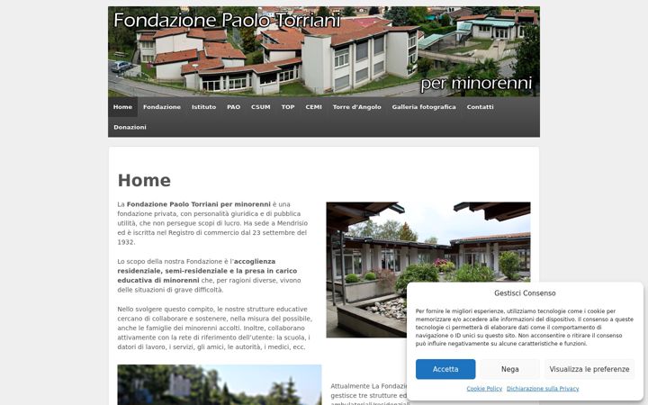 Screenshot of fondazionetorriani.ch