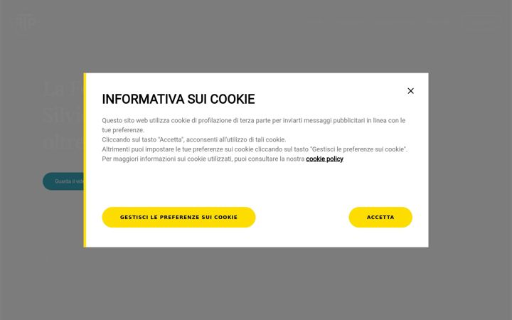 Screenshot ta' fondazionetronchetti.it