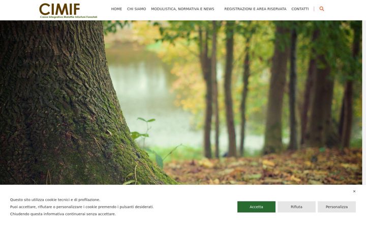 Screenshot of fondocimif.it