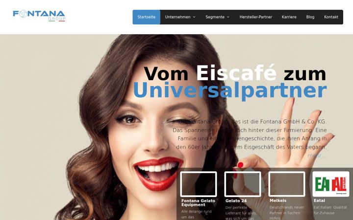 Screenshot of fontana-group.de