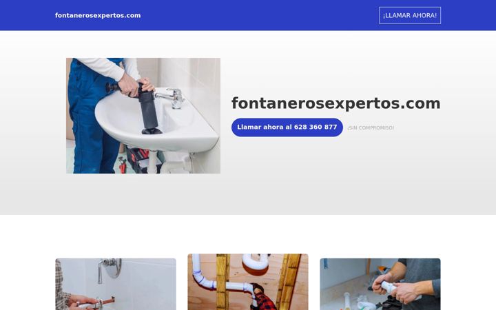 Screenshot of fontanerosexpertos.com