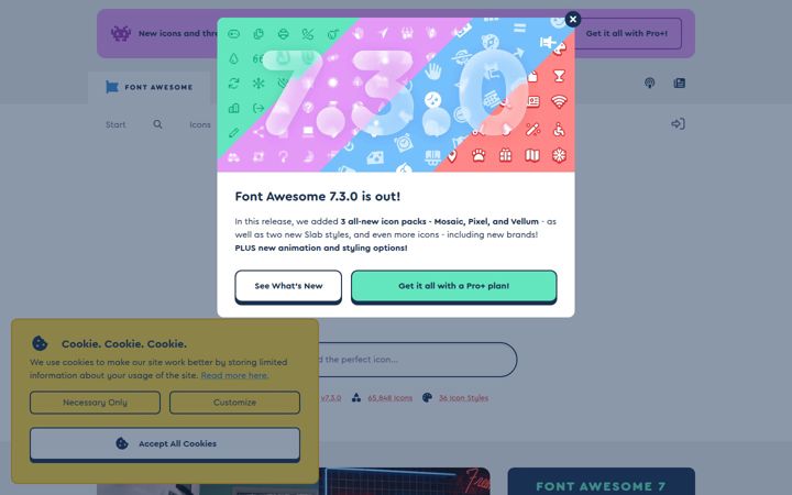 Kuvakaappaus sivustosta fontawesome.com