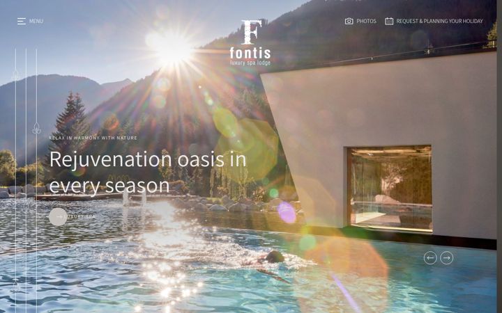 Screenshot of fontis-lodge.com