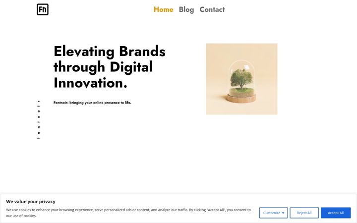Screenshot of fontnoir.com